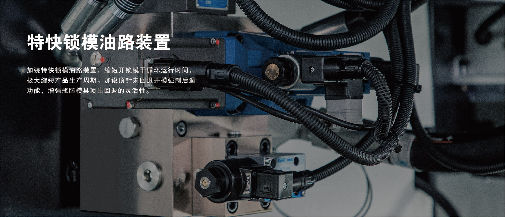 &#20122;&#32654;&#40;&#20013;&#22269;&#41;&#20307;&#32946;&#23448;&#26041;&#32593;&#31449;